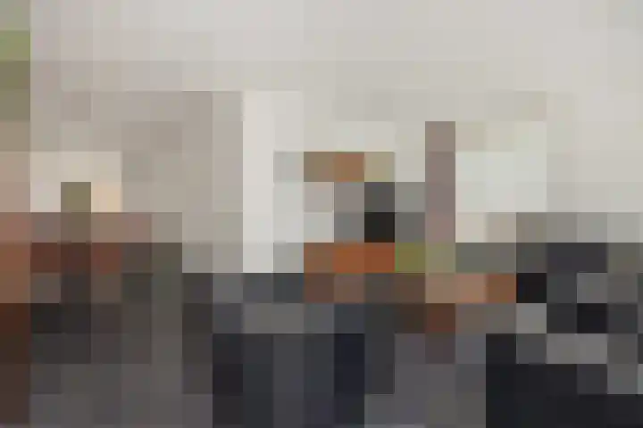 Vendelier 2 Deurne thumbnail 11