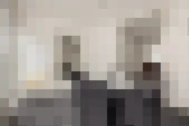 Vendelier 2 Deurne thumbnail 16