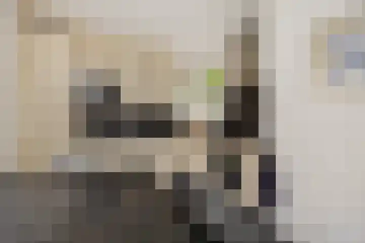 Vendelier 2 Deurne thumbnail 18