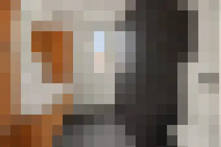 Vendelier 2 Deurne thumbnail 24
