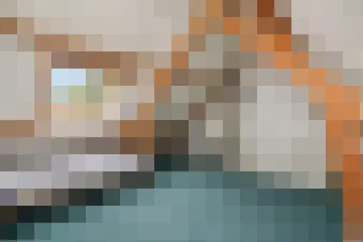 Vendelier 2 Deurne thumbnail 27