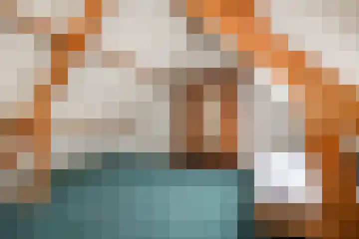 Vendelier 2 Deurne thumbnail 28