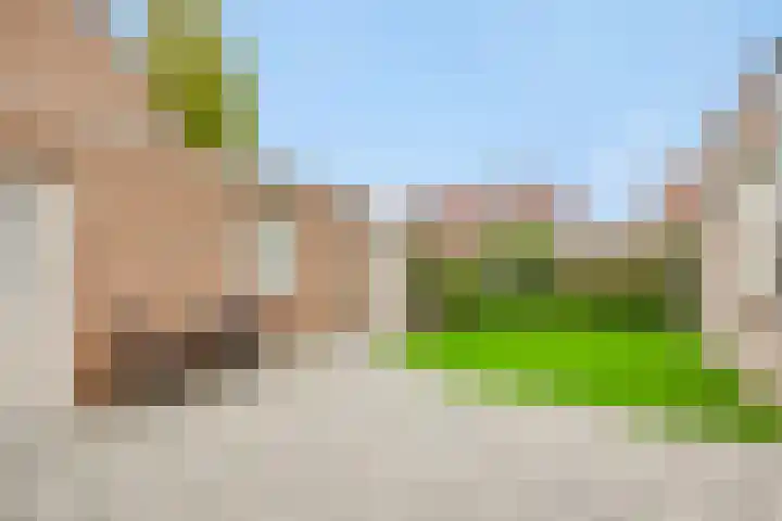 Vendelier 2 Deurne thumbnail 29