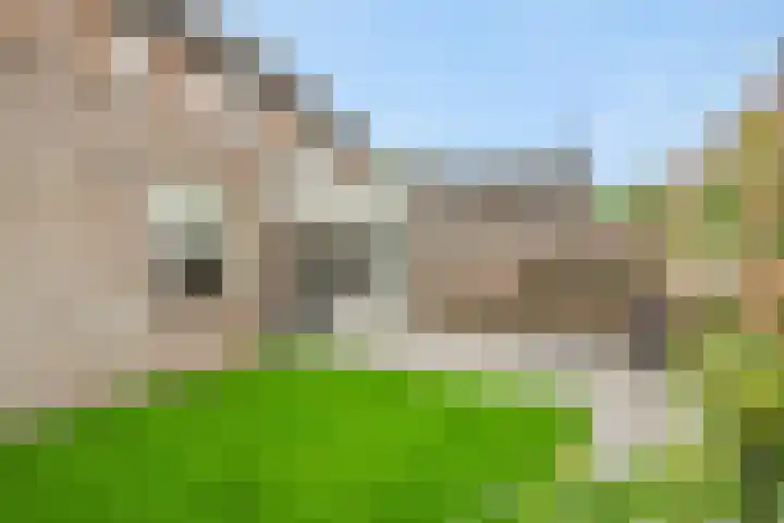 Vendelier 2 Deurne thumbnail 30