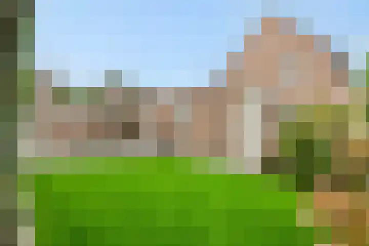 Vendelier 2 Deurne thumbnail 31