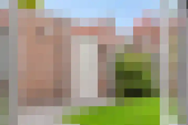 Vendelier 2 Deurne thumbnail 32