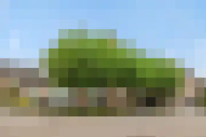 Vendelier 2 Deurne thumbnail 35