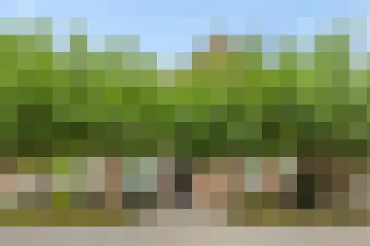 Vendelier 2 Deurne thumbnail 36