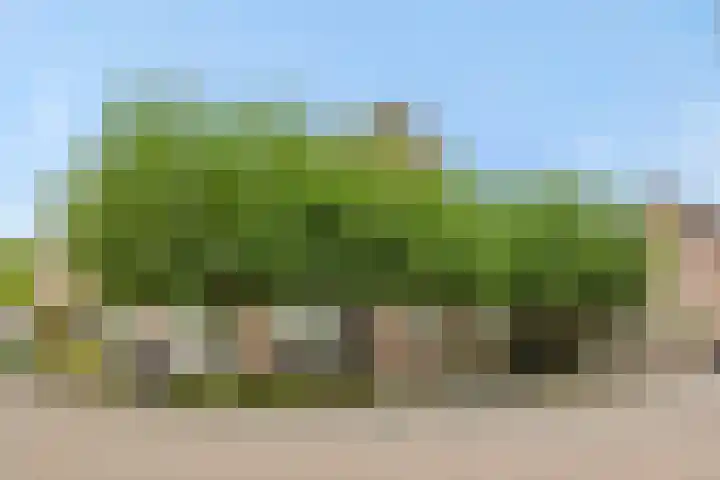 Vendelier 2 Deurne thumbnail 37