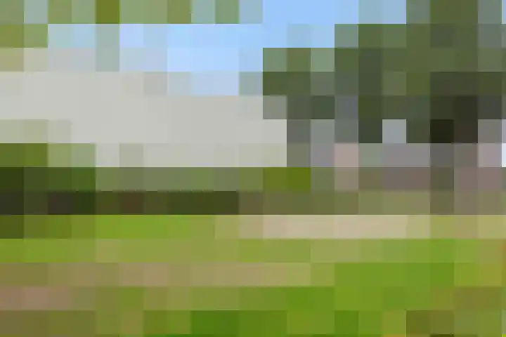 Vendelier 2 Deurne thumbnail 38