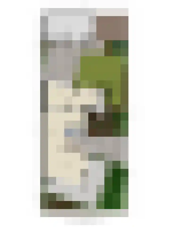 Vendelier 2 Deurne thumbnail 46