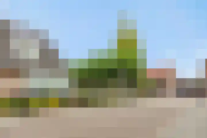 Vendelier 2 Deurne thumbnail 6