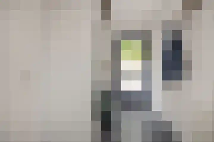 Vendelier 2 Deurne thumbnail 7