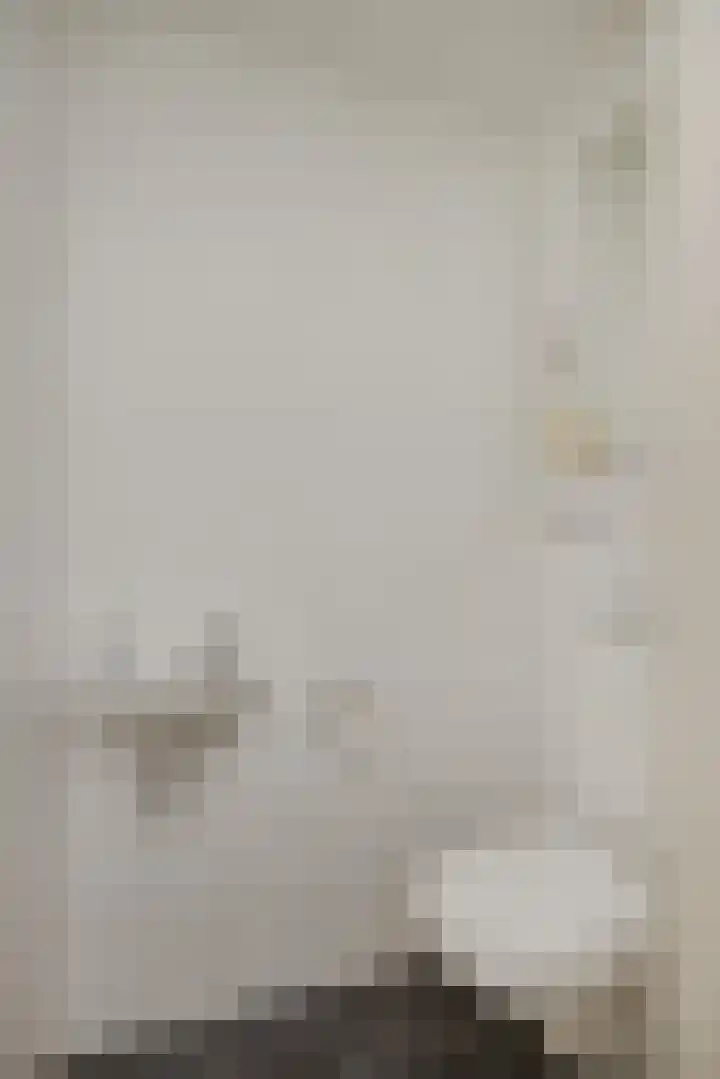 Vendelier 2 Deurne thumbnail 9