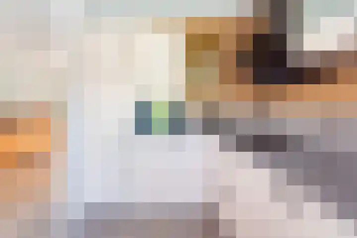 Vendeliers 14 Ulft thumbnail 13