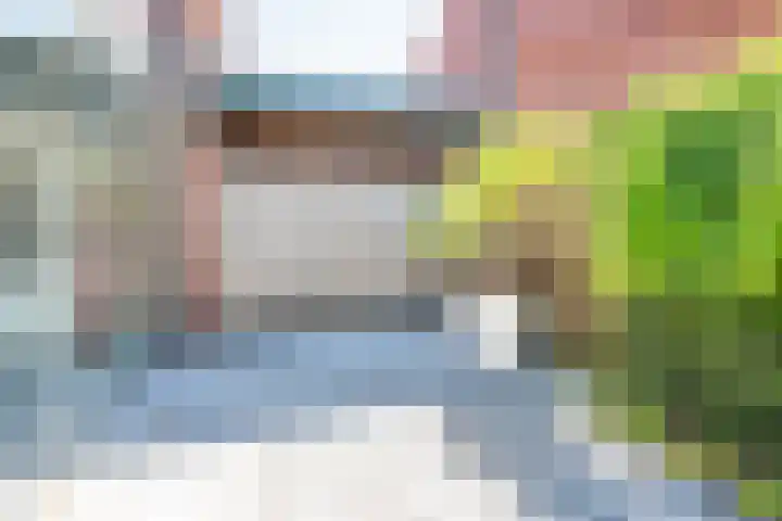 Vendeliers 14 Ulft thumbnail 33
