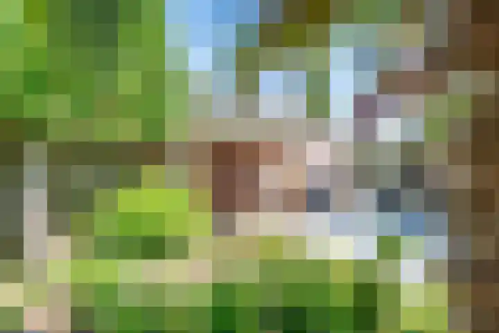 Vendeliers 14 Ulft thumbnail 36