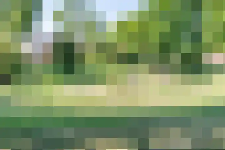 Vendeliers 14 Ulft thumbnail 39
