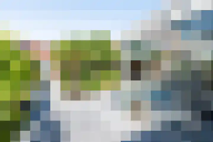 Vendeliers 14 Ulft thumbnail 4