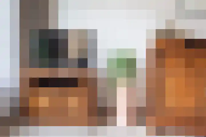 Vendeliers 61 Ulft thumbnail 11