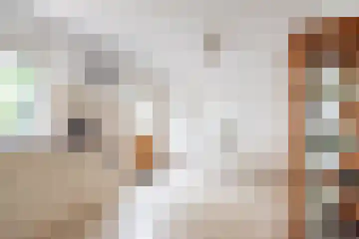 Vendeliers 61 Ulft thumbnail 15