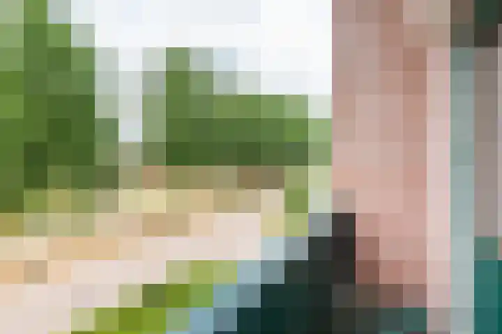 Vendeliers 61 Ulft thumbnail 20