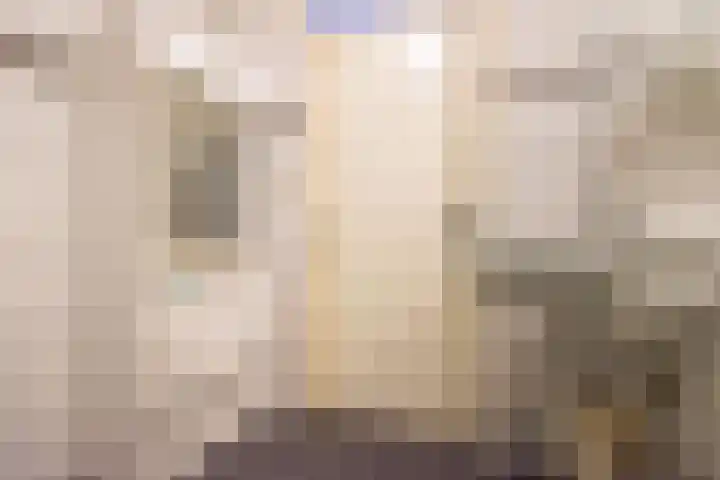 Vendeliers 61 Ulft thumbnail 23