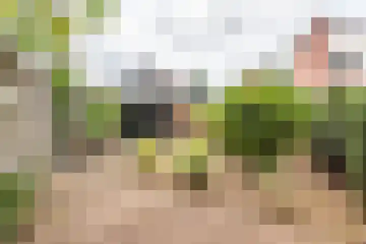 Vendeliers 61 Ulft thumbnail 31