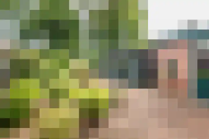Vendeliers 61 Ulft thumbnail 32
