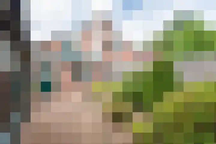 Vendeliers 61 Ulft thumbnail 33