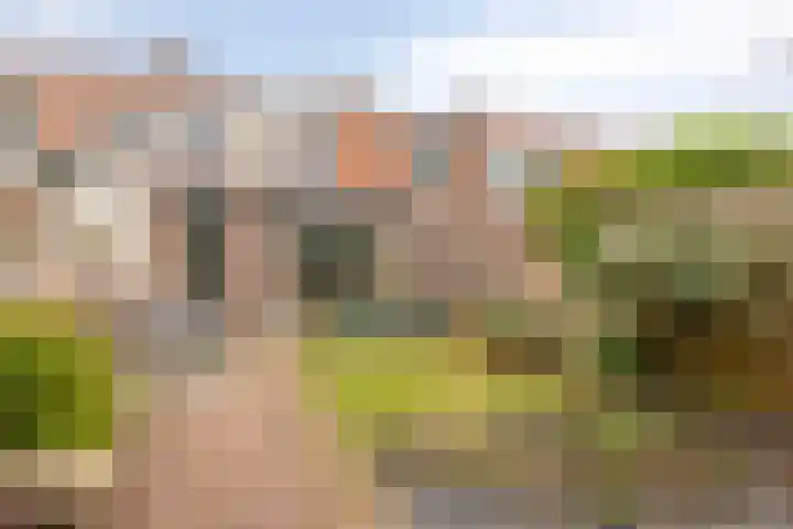 Vendelstraat 14 Leiden thumbnail 4