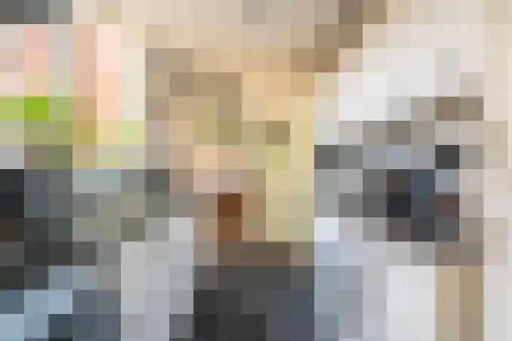Vendelstraat 3 Heiligerlee thumbnail 13