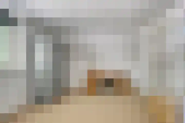 Venediën 19 Purmerend thumbnail 18