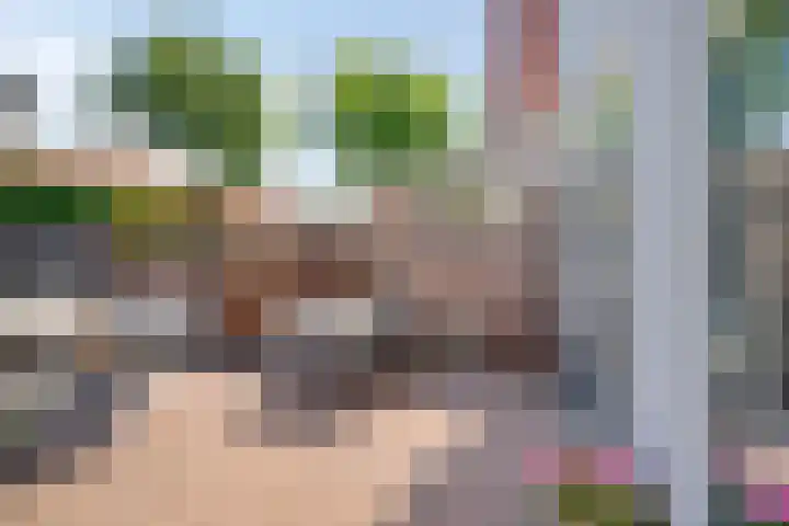 Venediën 19 Purmerend thumbnail 31