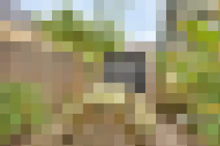 Venestraat 7 Kampen thumbnail 25