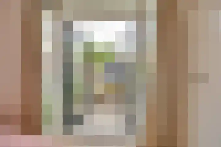 Venestraat 7 Kampen thumbnail 4