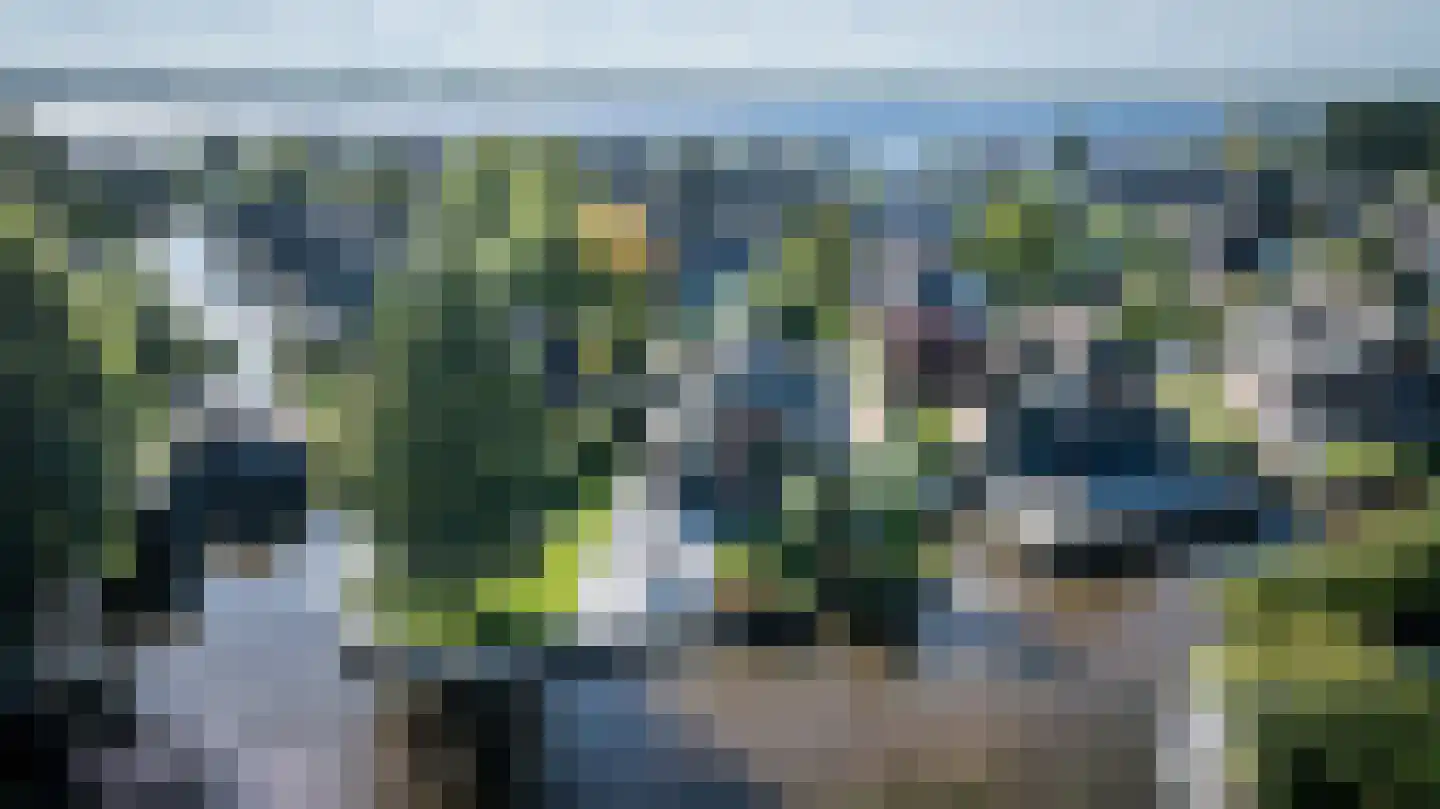 Veneweg 189 3 Wanneperveen thumbnail 48