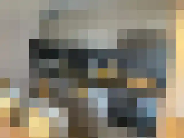 Veneweg 223 Wanneperveen thumbnail 14