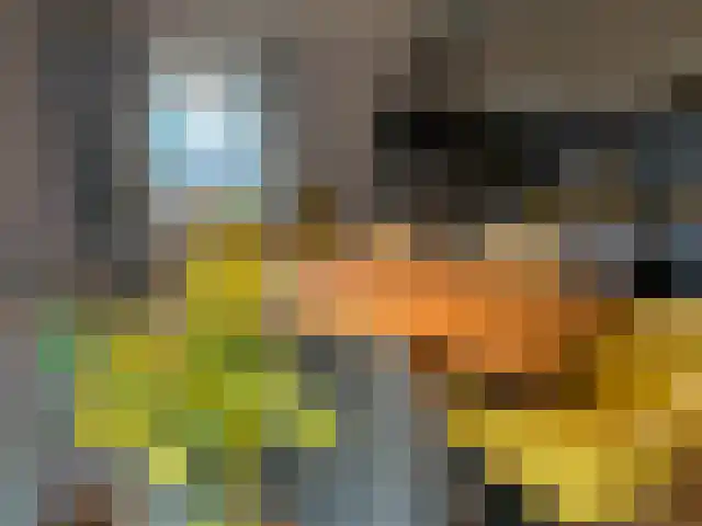 Veneweg 223 Wanneperveen thumbnail 6