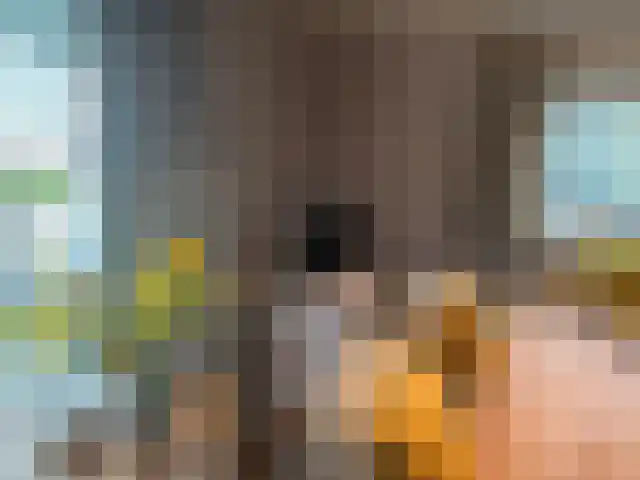 Veneweg 223 Wanneperveen thumbnail 7