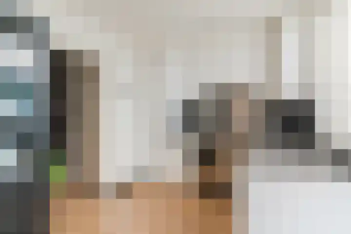 Venkel 12 Geldrop thumbnail 12