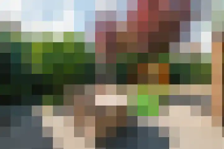 Venkel 27 Dronten thumbnail 26