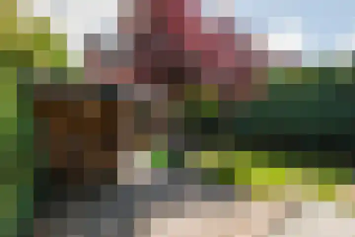 Venkel 27 Dronten thumbnail 28