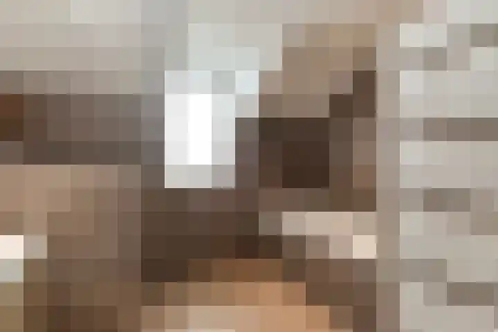 Venkel 27 Dronten foto 3