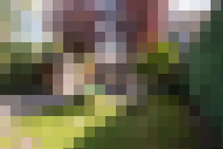 Venkel 27 Dronten thumbnail 30