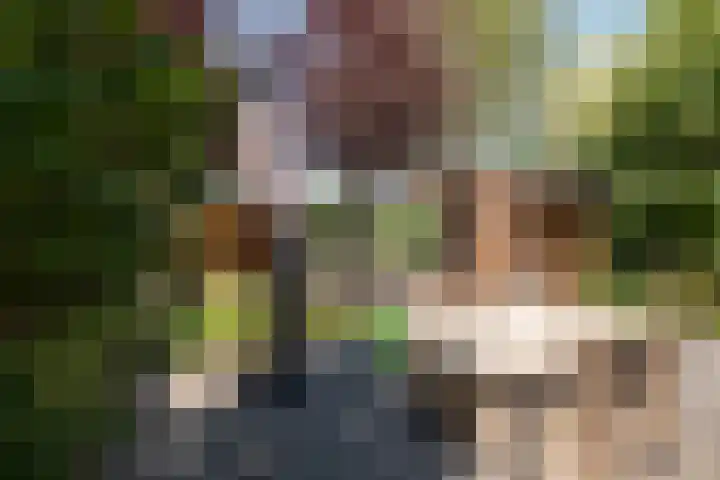 Venkel 27 Dronten thumbnail 4