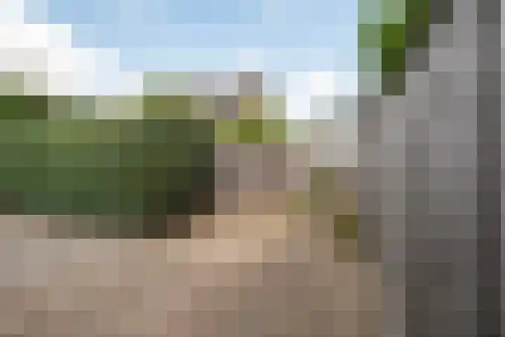 Venkel 27 Dronten thumbnail 6