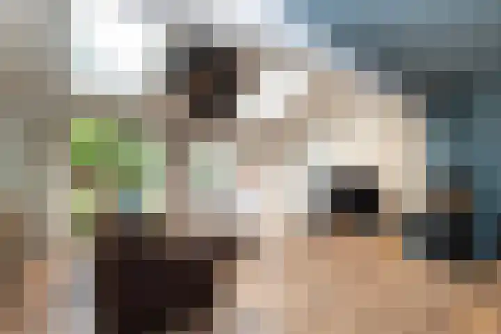 Venkel 27 Dronten thumbnail 9