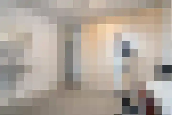 Venkel 35 Raalte thumbnail 24