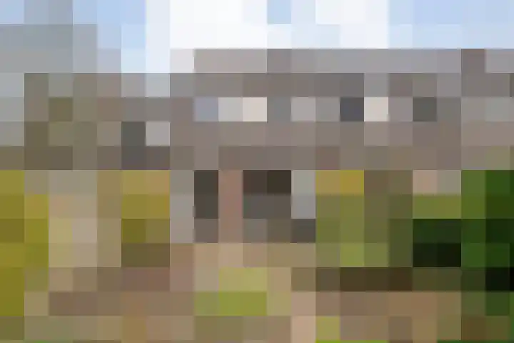 Venkel 35 Raalte thumbnail 30